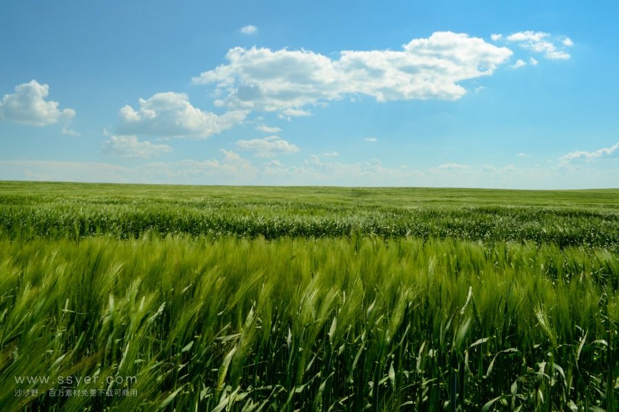 農(nóng)業(yè)大數(shù)據(jù) 農(nóng)業(yè)大數(shù)據(jù)